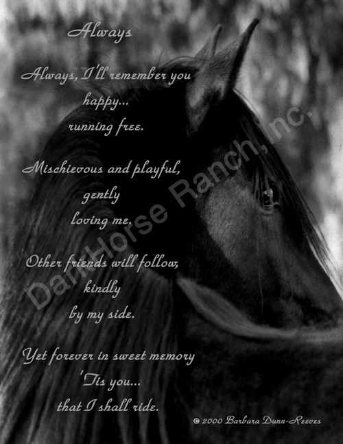 "Always" Equine Art Poetry Print by Barbara Anne Dunn